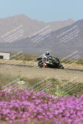 media/Feb-04-2023-SoCal Trackdays (Sat) [[8a776bf2c3]]/Turn 15 Inside Blooming (1050am)/